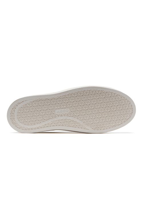 Abeo Jumpstreet Bungee Sneaker In White Canvas - Regular