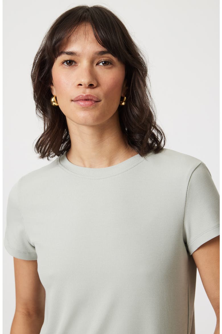 Basic Rib T-Shirt, Alternate, color, PIGEON