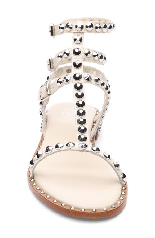 Shop Ash Play Studded Gladiator Sandal In Talc