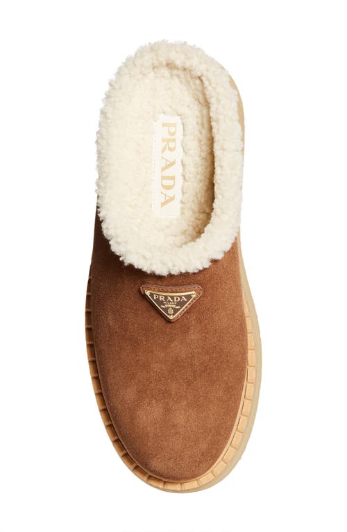 Prada Suede Shearling Cozy Platform Mules In Brown