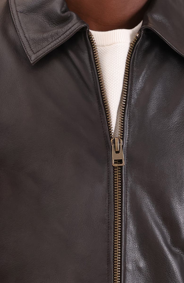 Bagatelle Leather Jacket, Alternate, color, Espresso