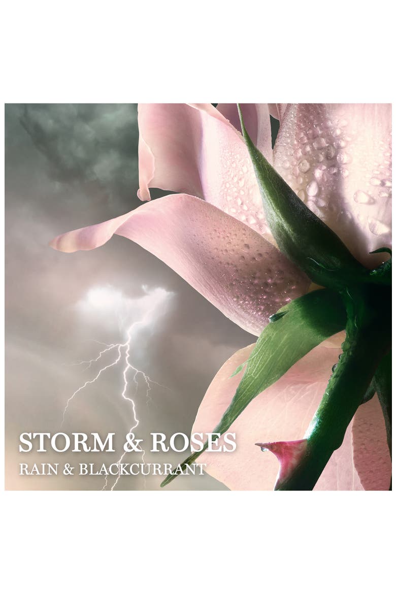 Absolue Storm & Roses Eau de Parfum, Alternate, color, NO COLOR