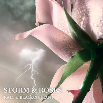 Lancôme Absolue Storm & Roses Eau de Parfum | Nordstrom