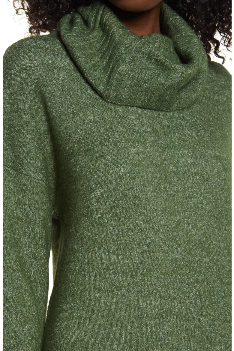 Gaiva Turtleneck Long Sleeve Sweater Dress, Alternate, color, BLACK FOREST
