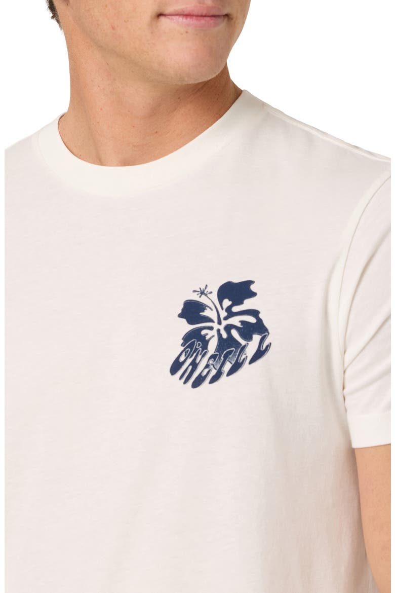 Hibis Classic Cotton Graphic T-Shirt, Alternate, color, TOFU
