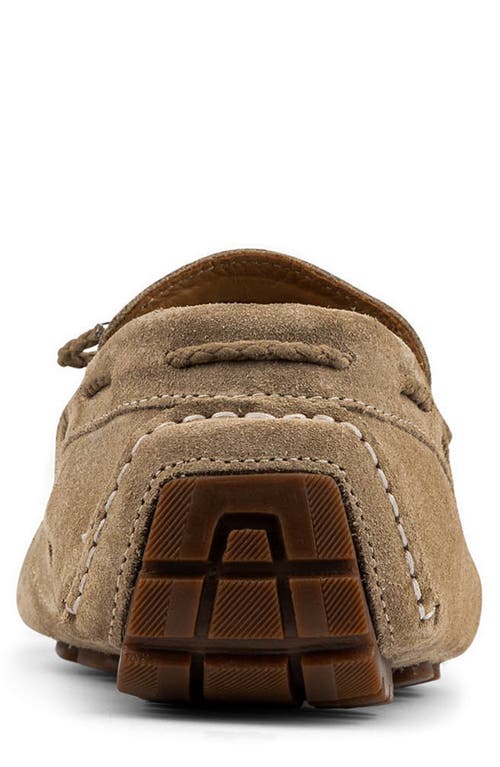 Donald Pliner Dutton Driving Loafer In Brown