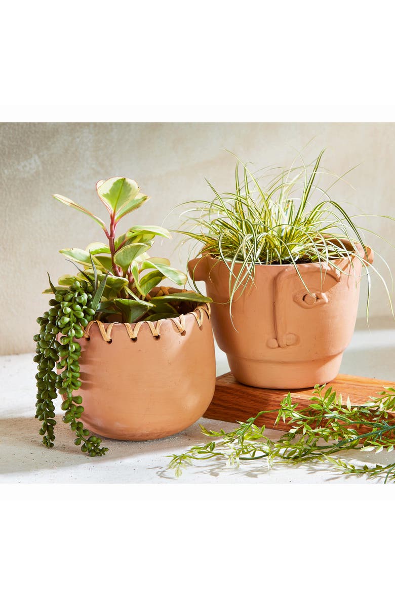 tag Vibrant Terracotta Planter for Summer Garden Decor, Alternate, color, Orange