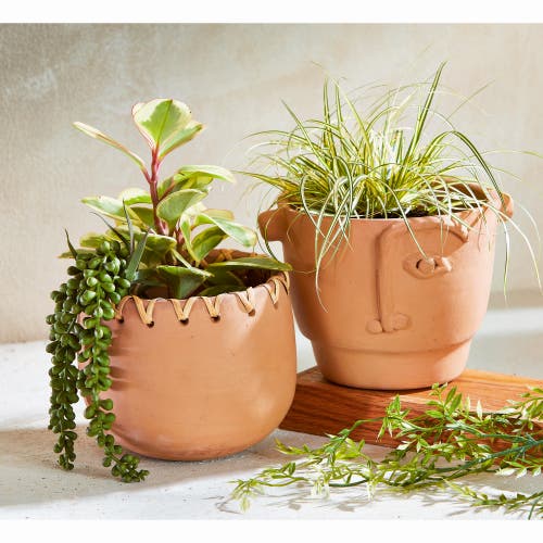 Tag Vibrant Terracotta Planter For Summer Garden Decor In Brown