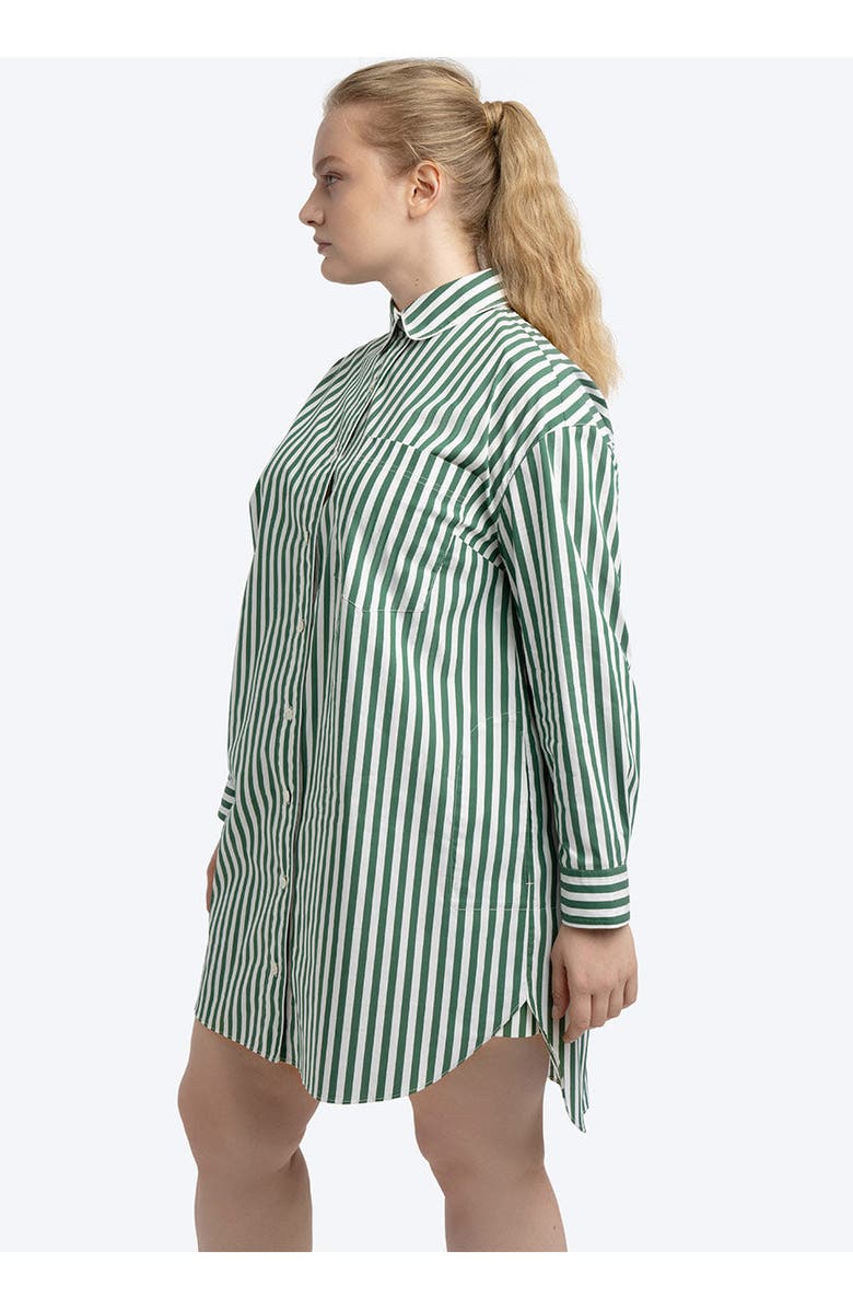 SEE ROSE GO , Alternate, color, Palm Green Stripe
