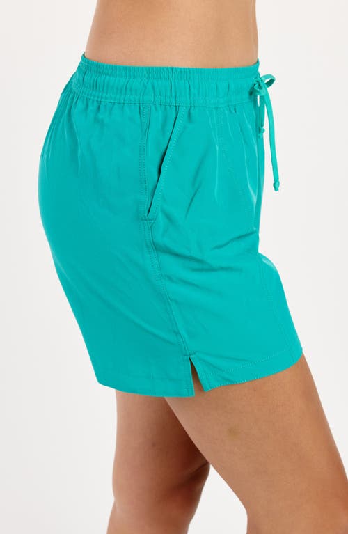 Calypsa Plus Size 4" Board Shorts