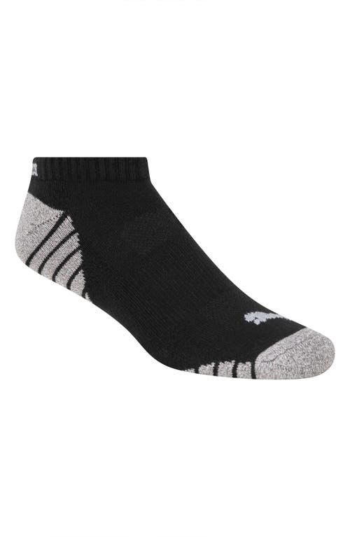 Puma 3-pack Terry Low Cut Length Socks In Black Grey