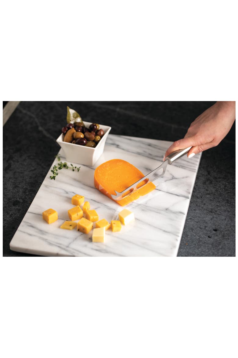 2-Piece Cheese Tools, Alternate, color, STAINLESS