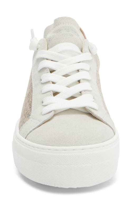 P448 Thea Platform Sneaker In Multi