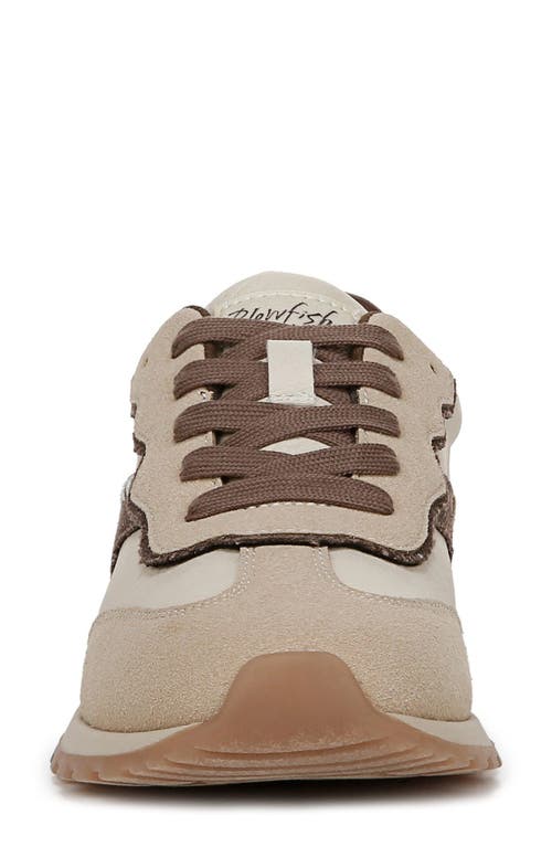 Blowfish Malibu Valley Sneaker In Cream/chocolate Faux Leather