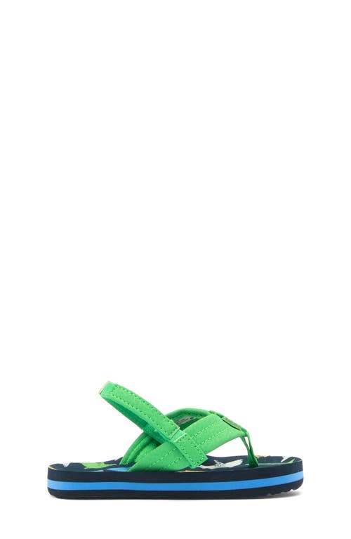 Reef Kids' Little Ahi Flip Flop In Multi Shark