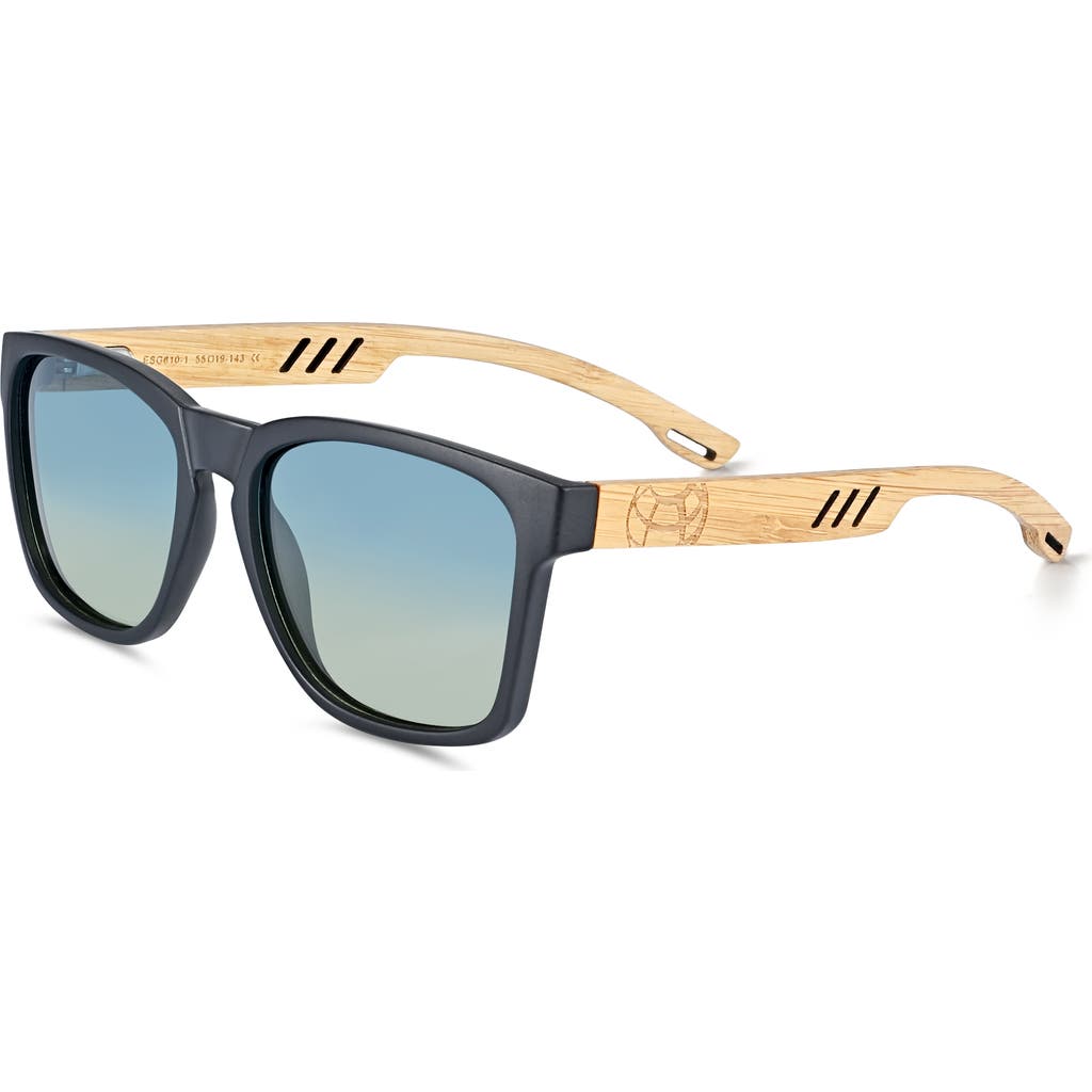 Shop Earth Wood Haven Polarized Sunglasses