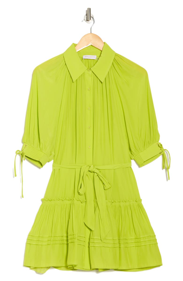 Ramy Brook Alianna Belted Shirtdress, Alternate, color, Lime