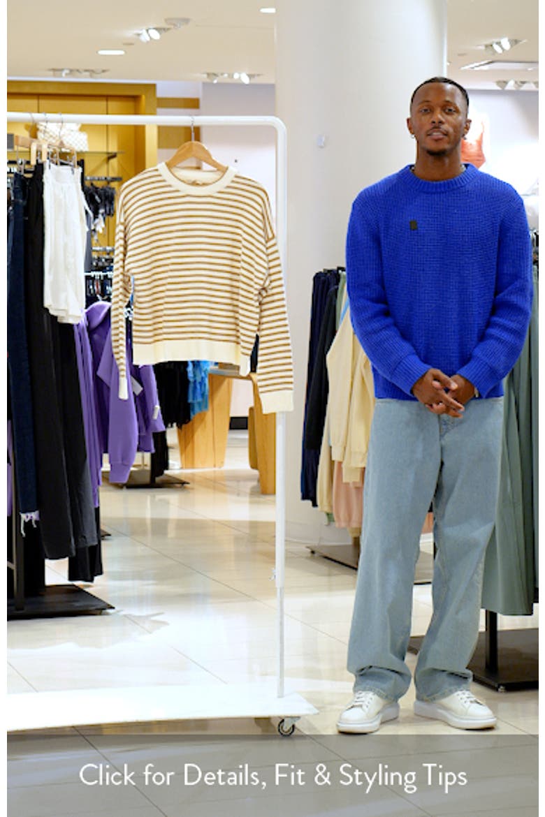 Suki Stripe Cotton Crewneck Sweater video