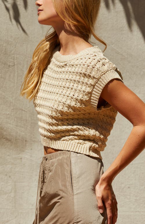 Crescent Textured Sweater Knit Crop Top In Bone