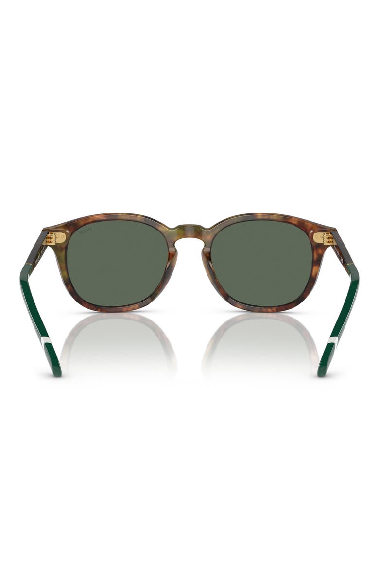 52mm Phantos Sunglasses, Alternate, color, SHINY BROWN TORTOISE / GREEN