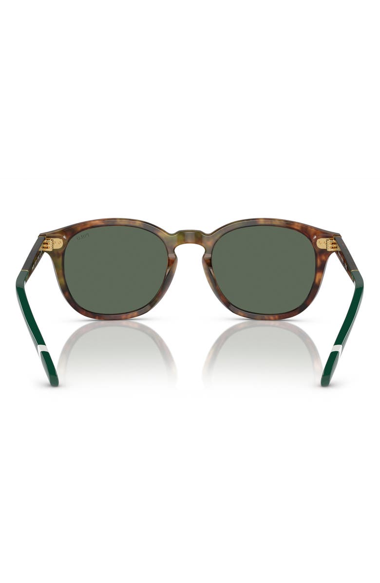 Polo Ralph Lauren 52mm Phantos Sunglasses, Alternate, color, Shiny Brown Tortoise / Green