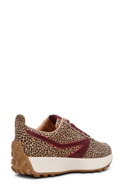 Dolce Vita Dv By  Brantley Sneaker In Brown