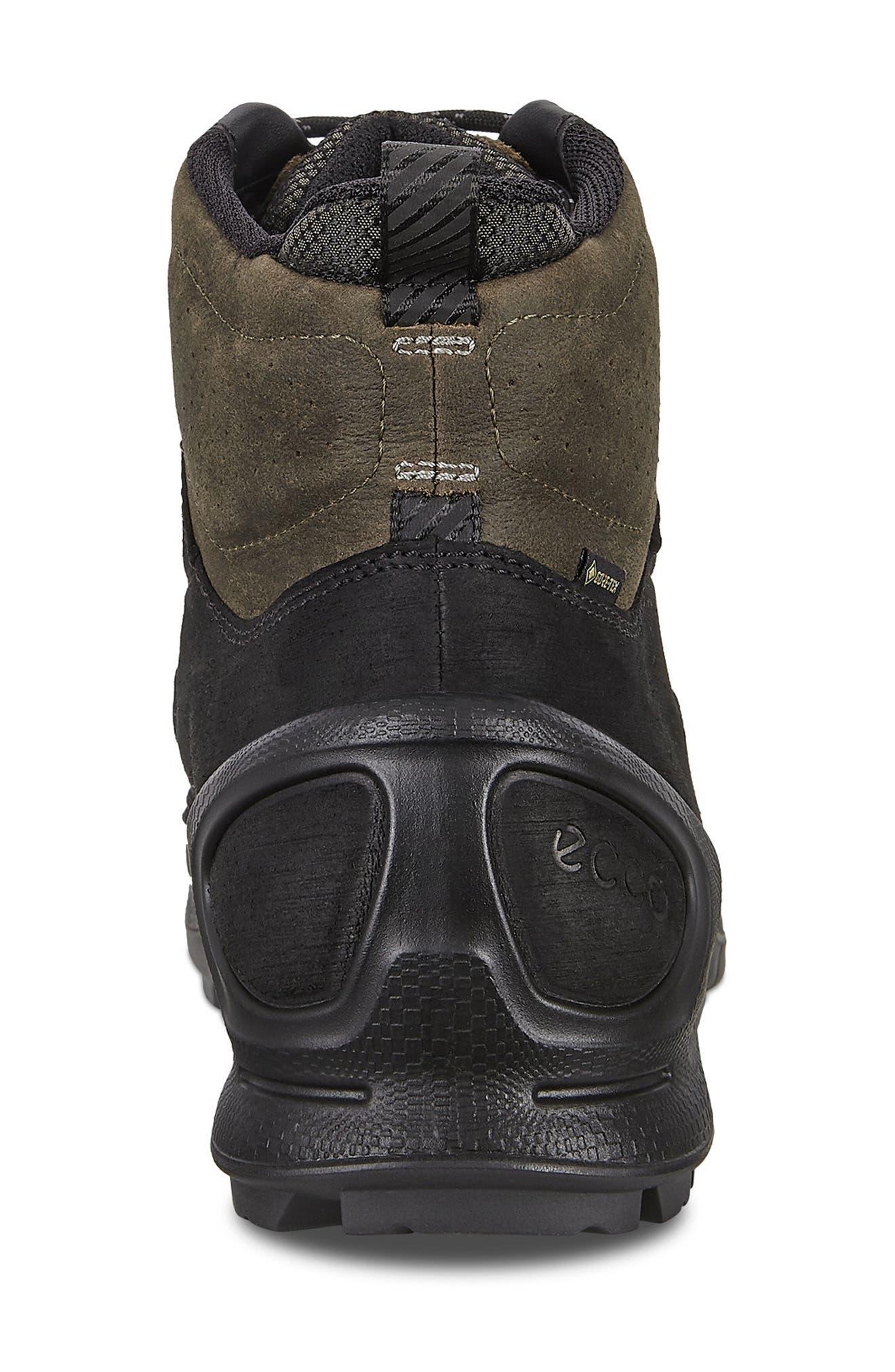 ECCO Biom Terrain Gore-Tex<sup>®</sup> Hiking Boot, Alternate, color, 
