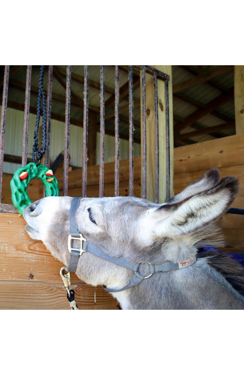 PetKORE Luna Ring, Horse Equine, 9 Inchs Green, Rubber Treat Puzzle Toy, Alternate, color, Green