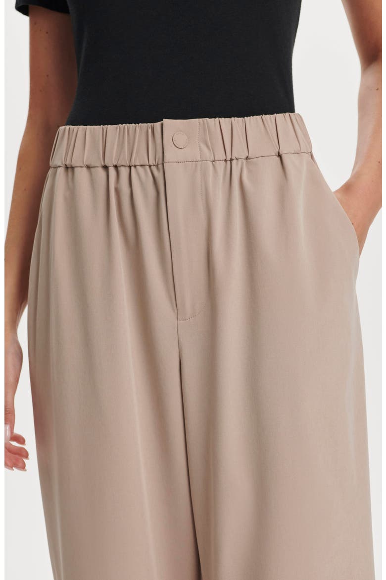 Kayson 2.0 Wide Leg Pants, Alternate, color, SIMPLY TAUPE