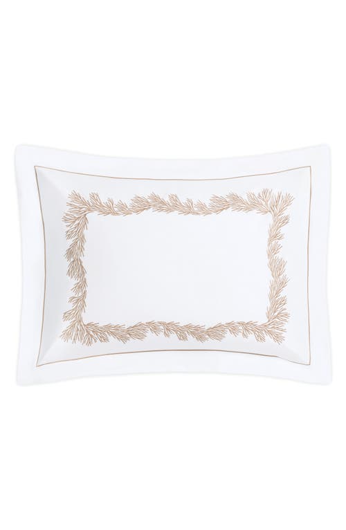 Matouk Atoll 520 Thread Count Cotton Percale Sham