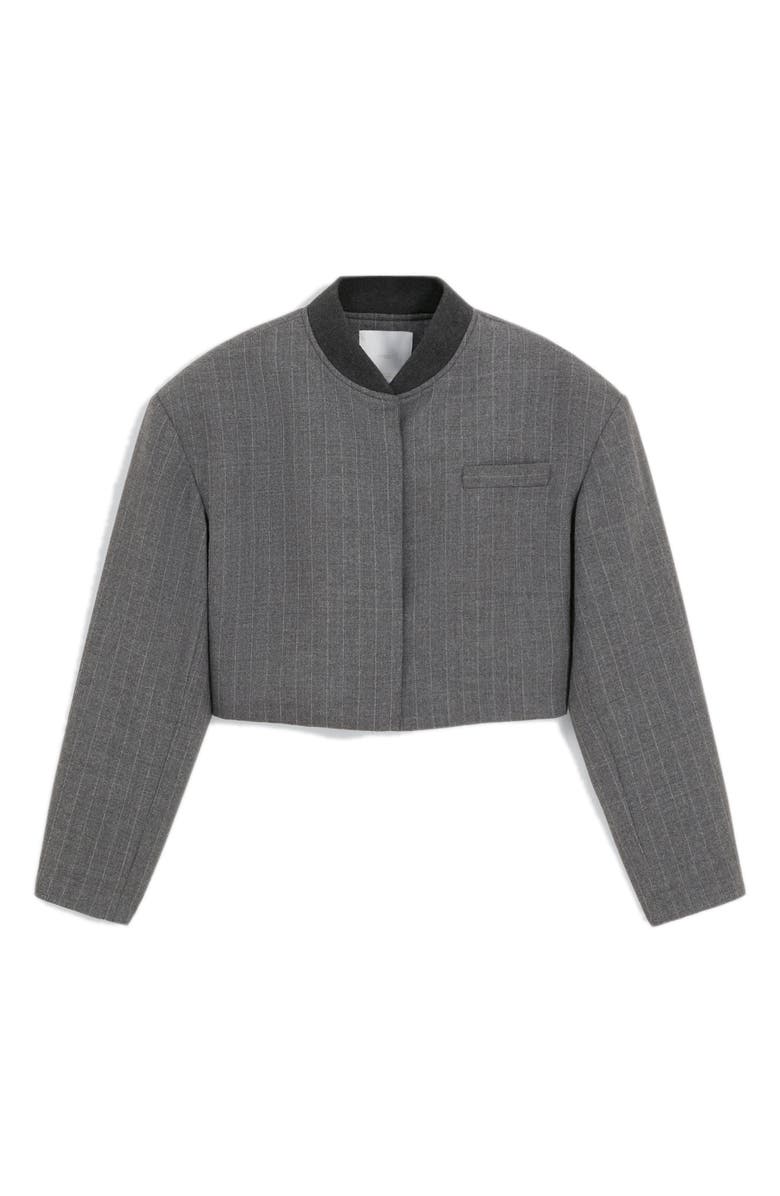 MANGO Pinstripe Crop Jacket, Alternate, color, 