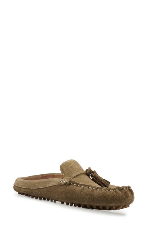 National Comfort Tal Tassel Mule In Taupe Suede