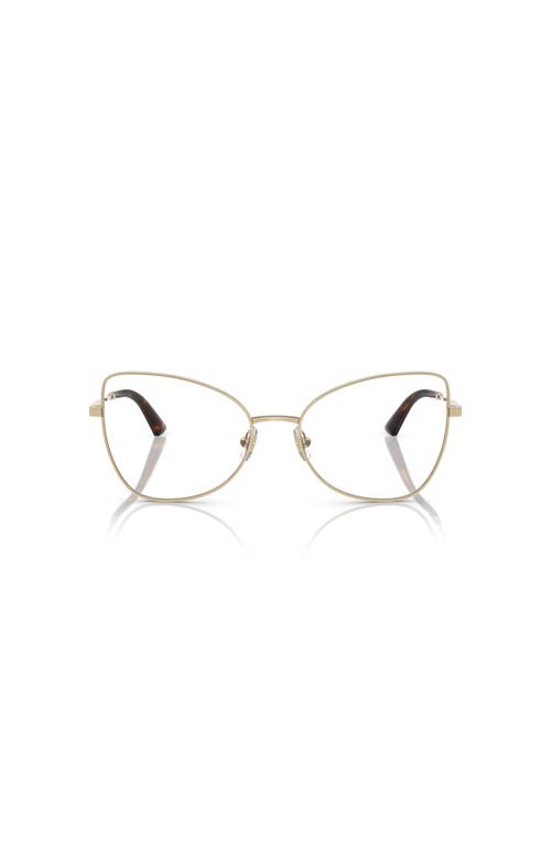 Jimmy Choo 55mm Butterfly Optical Glasses In Gold