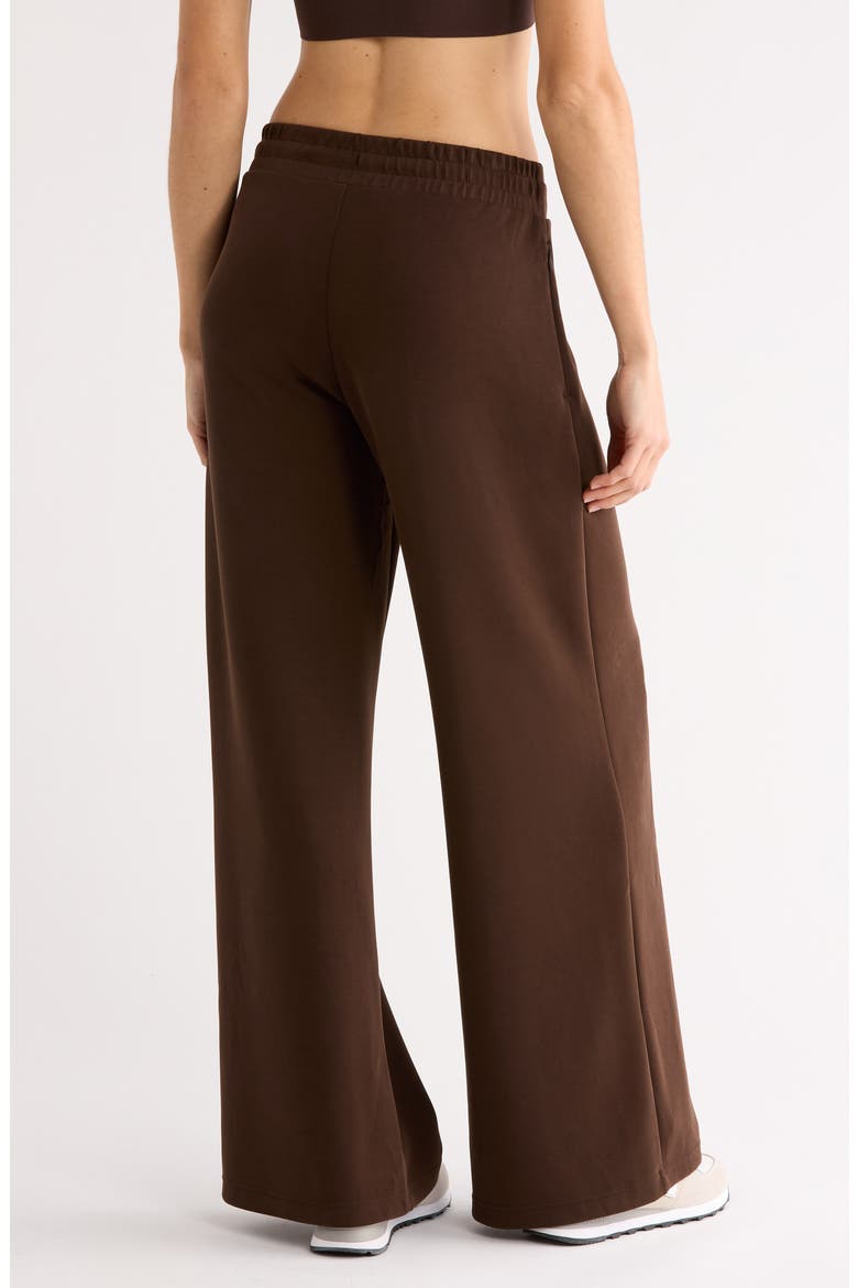 Soft Luxe Wide Leg Pants, Alternate, color, BROWN MOLE'
