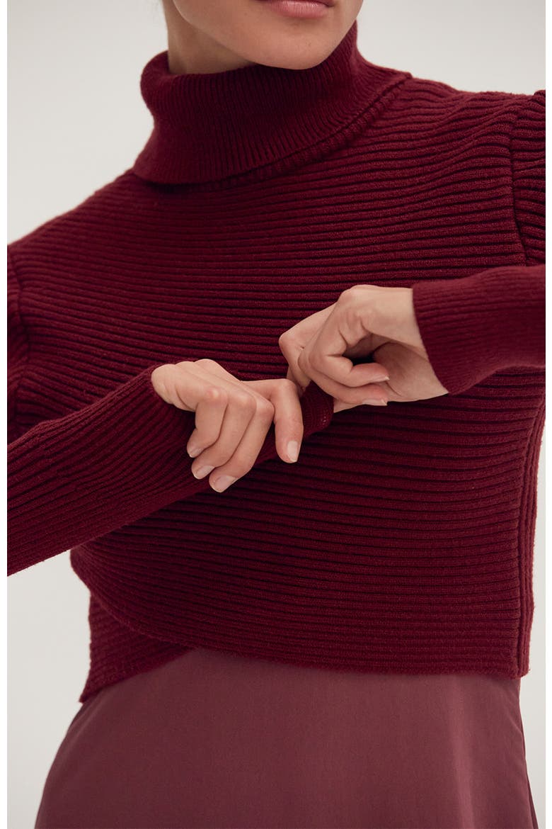 Sweater Top and Dress Set, Alternate, color, Cabernet