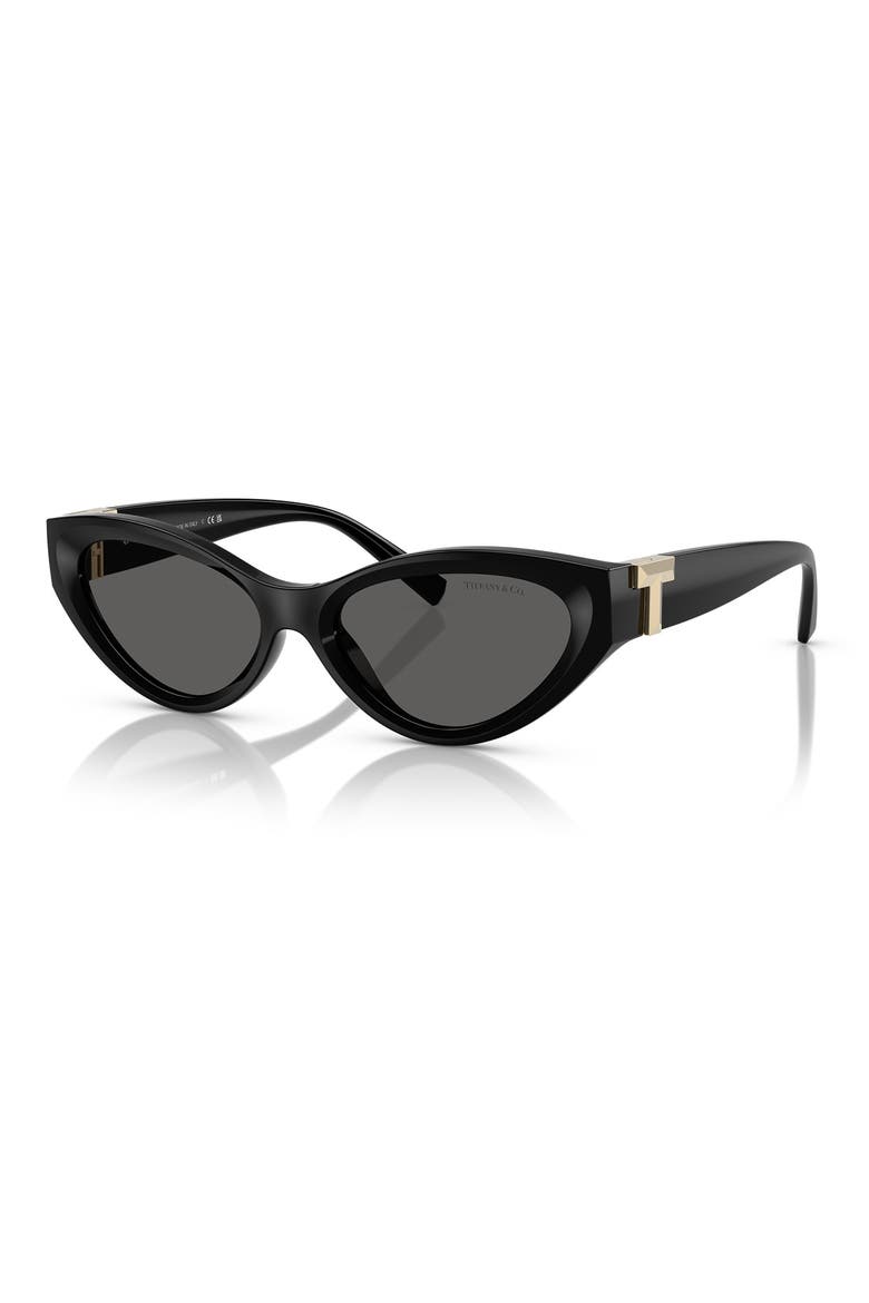 54mm Oval Sunglasses, Alternate, color, BLACK