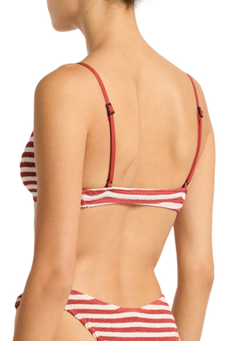 Lissio Stripe Bikini Top, Alternate, color, ROOIBOS STRIPE
