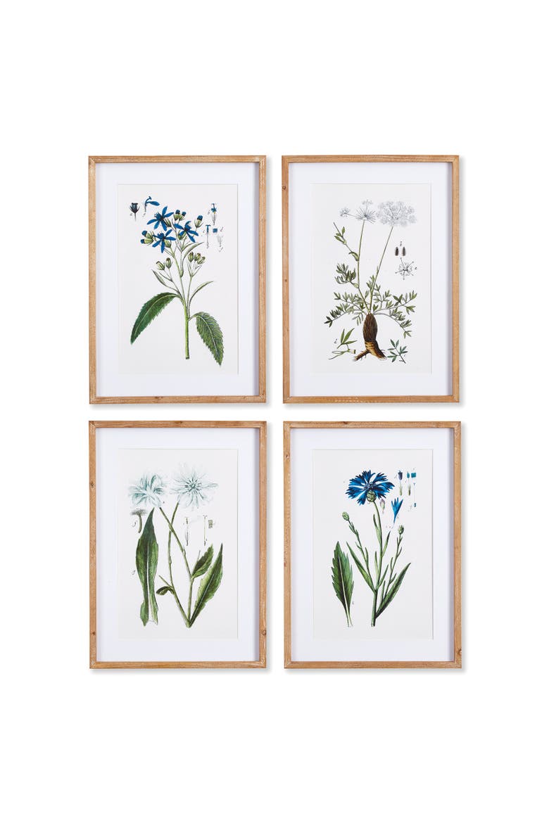 Mountain Botanical Prints Set of 4, Main, color, Green