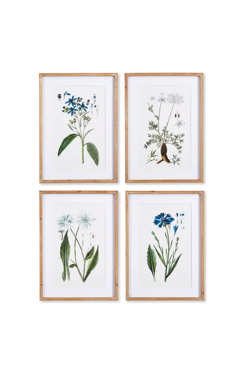 Napa Home & Garden Mountain Botanical Prints Set of 4, Main, color, 