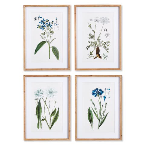 Mountain Botanical Prints Set of 4