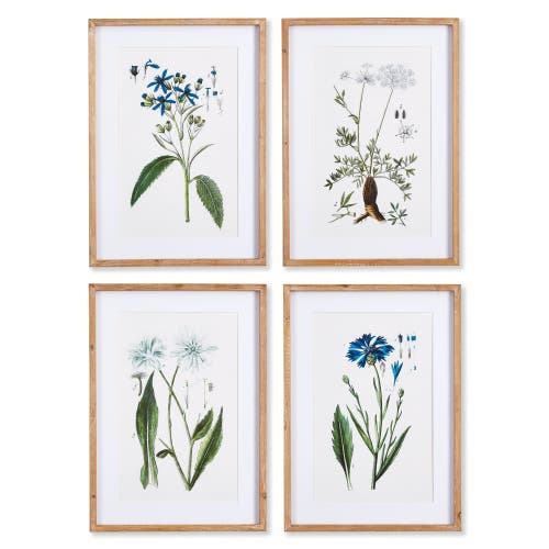 Napa Home & Garden Mountain Botanical Prints Set Of 4 In Green