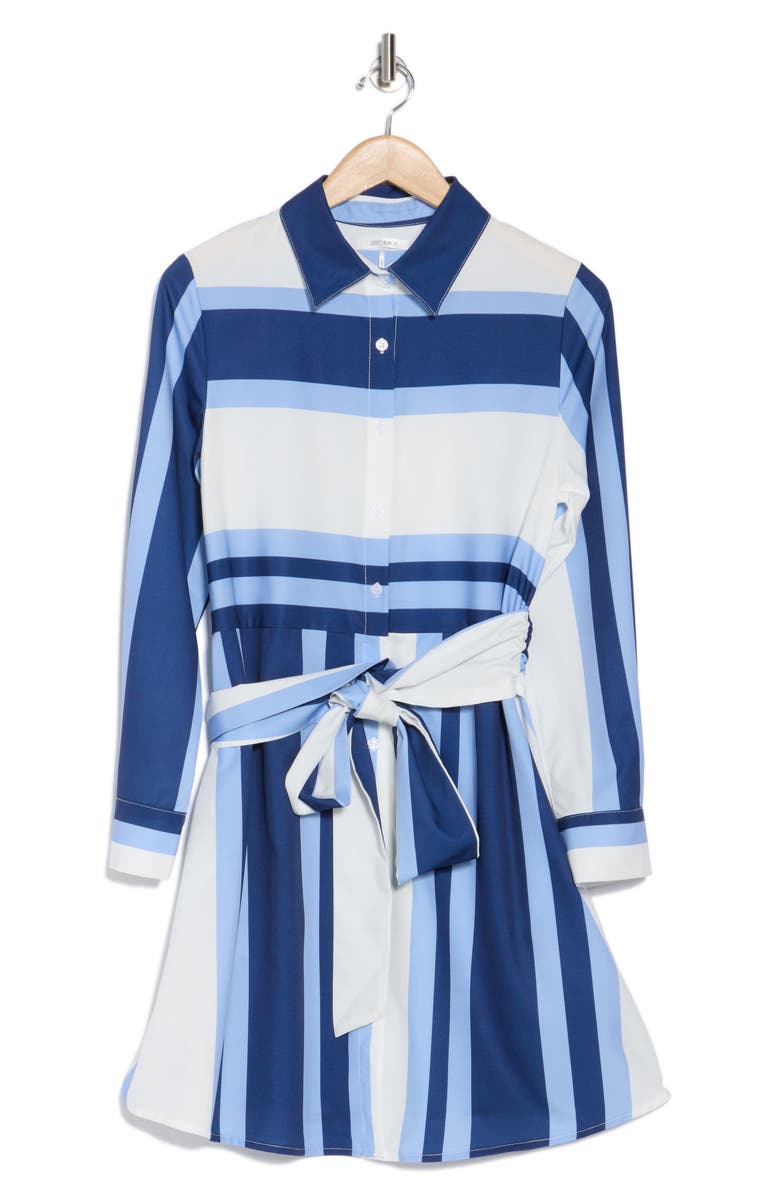 STITCHDROP Chatham Long Sleeve Cotton Shirtdress, Alternate, color, Navy