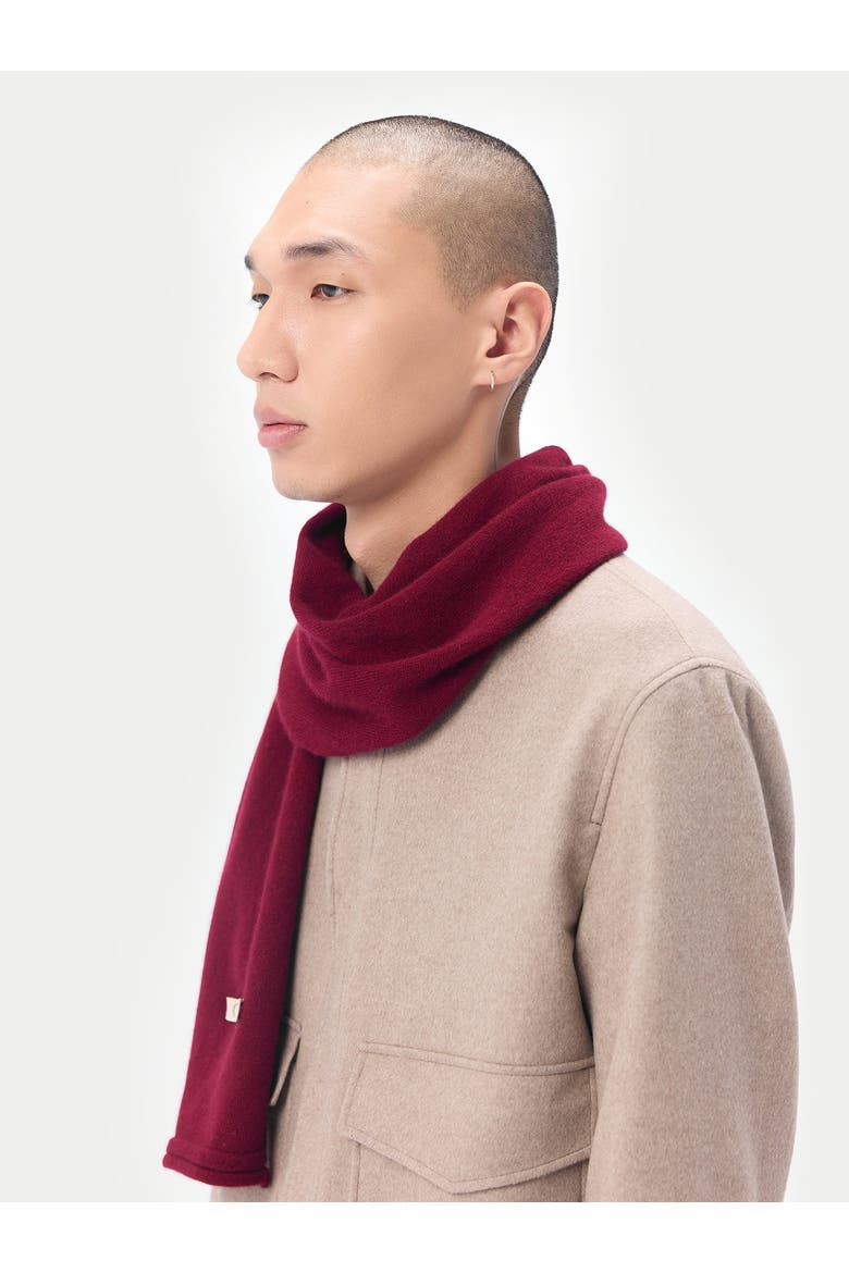 Cashmere Jersey Knit scarf, Alternate, color, bordeaux