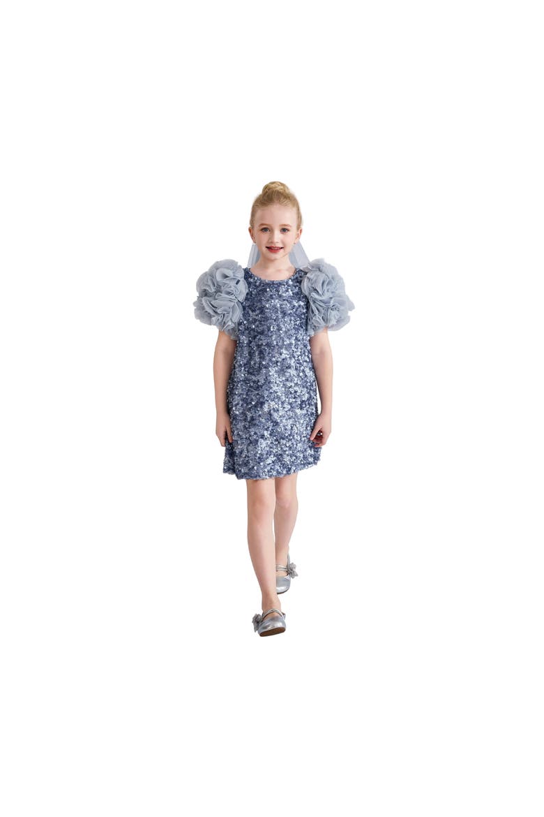 Seliora Floral Embellished Dress, Alternate, color, Blue