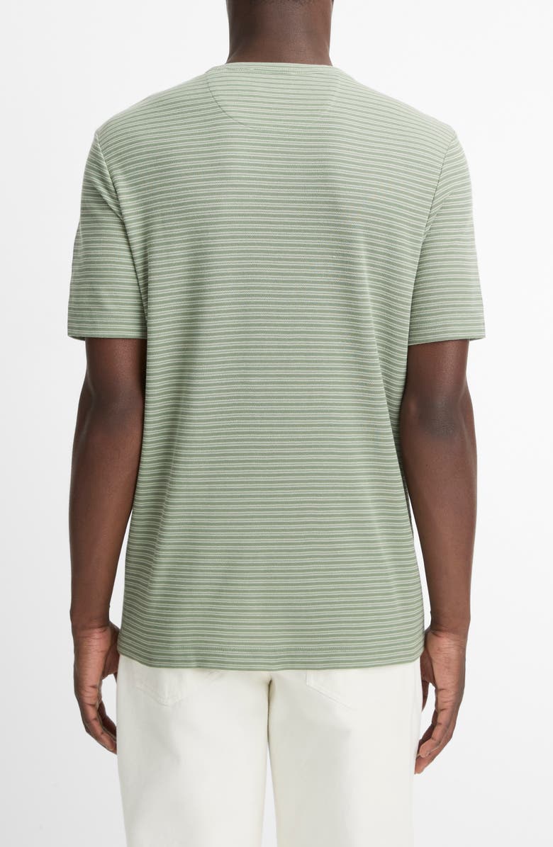Vince Stripe Pima Cotton Piqué T-Shirt, Alternate, color, Broad Leaf/ Light Agave