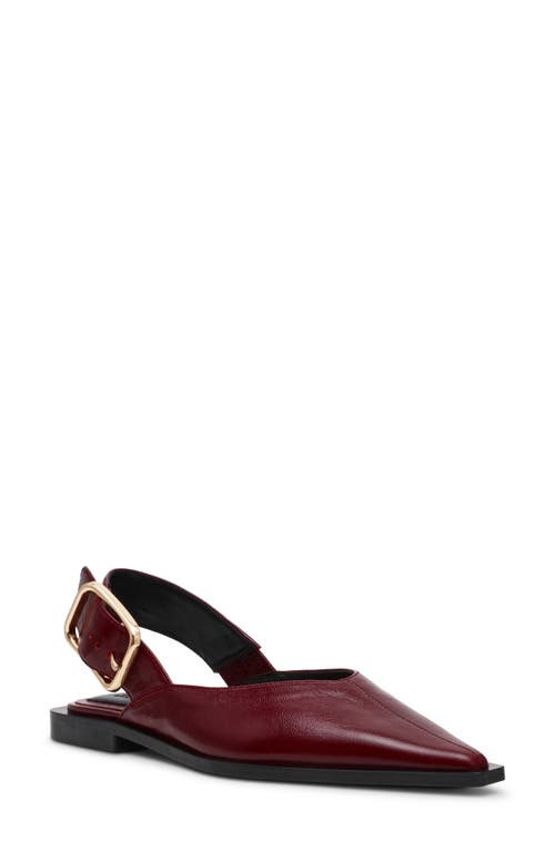Steve Madden Shay Pointed Toe Slingback Flat In Burgundy
