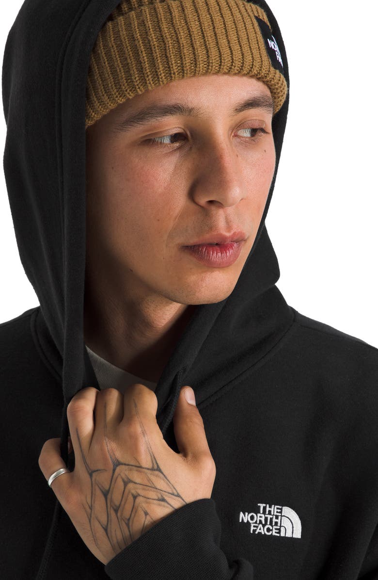 The North Face Evolution Simple Dome Pullover Hoodie, Alternate, color, 