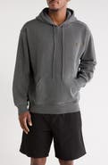 Carhartt Work In Progress Nelson Hoodie