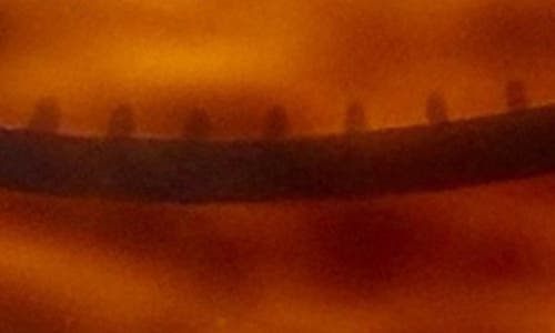 Ficcare Wynn Wide Headband In Brown