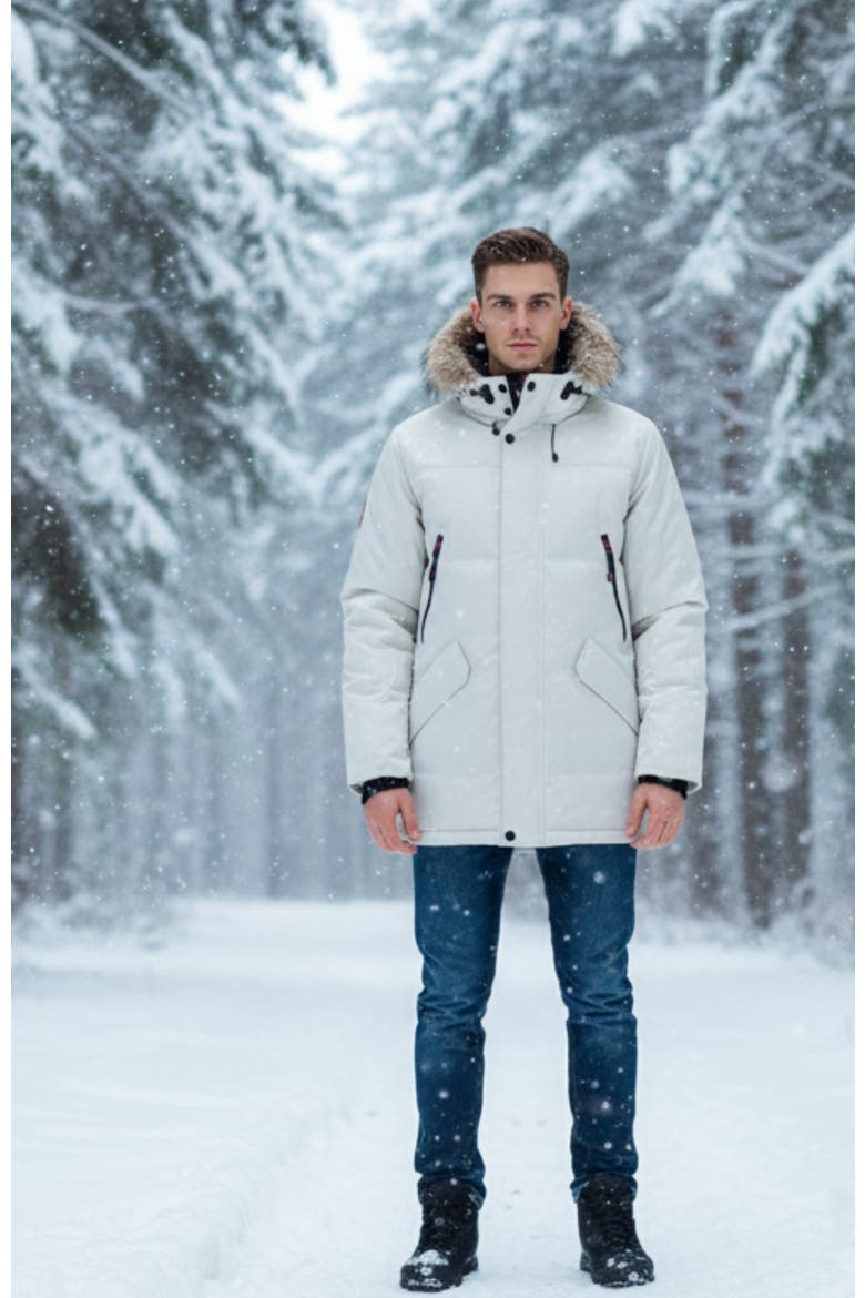 Men's Arctic Winter Jacket, Alternate, color, Stone